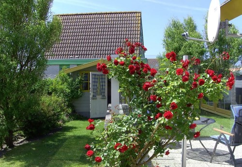 Blick auf Gartenhaus